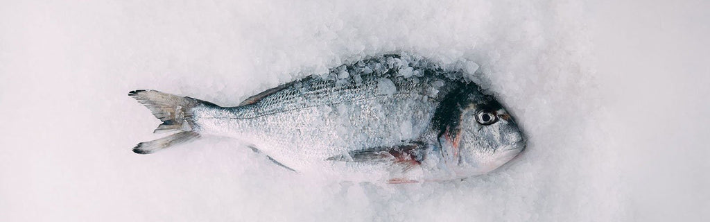 Dorade als ganzen Fisch oder filetiert online bestellen bei Feinkost ab Rampe. Lieferung binnen 48 Stunden (deutschlandweit) 