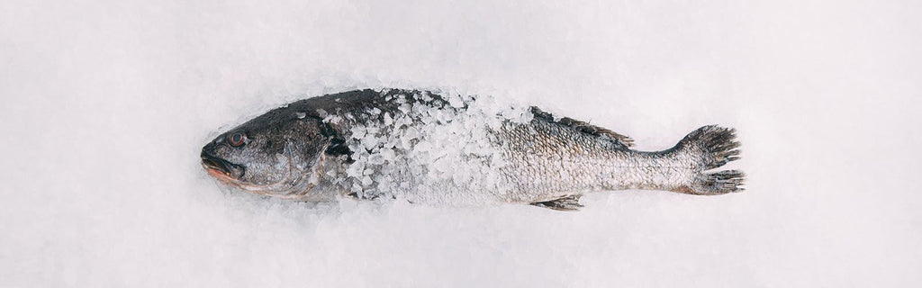 Wolfsbarsch als ganzen Fisch oder filetiert online bestellen bei Feinkost ab Rampe. Lieferung binnen 48 Stunden (deutschlandweit) 