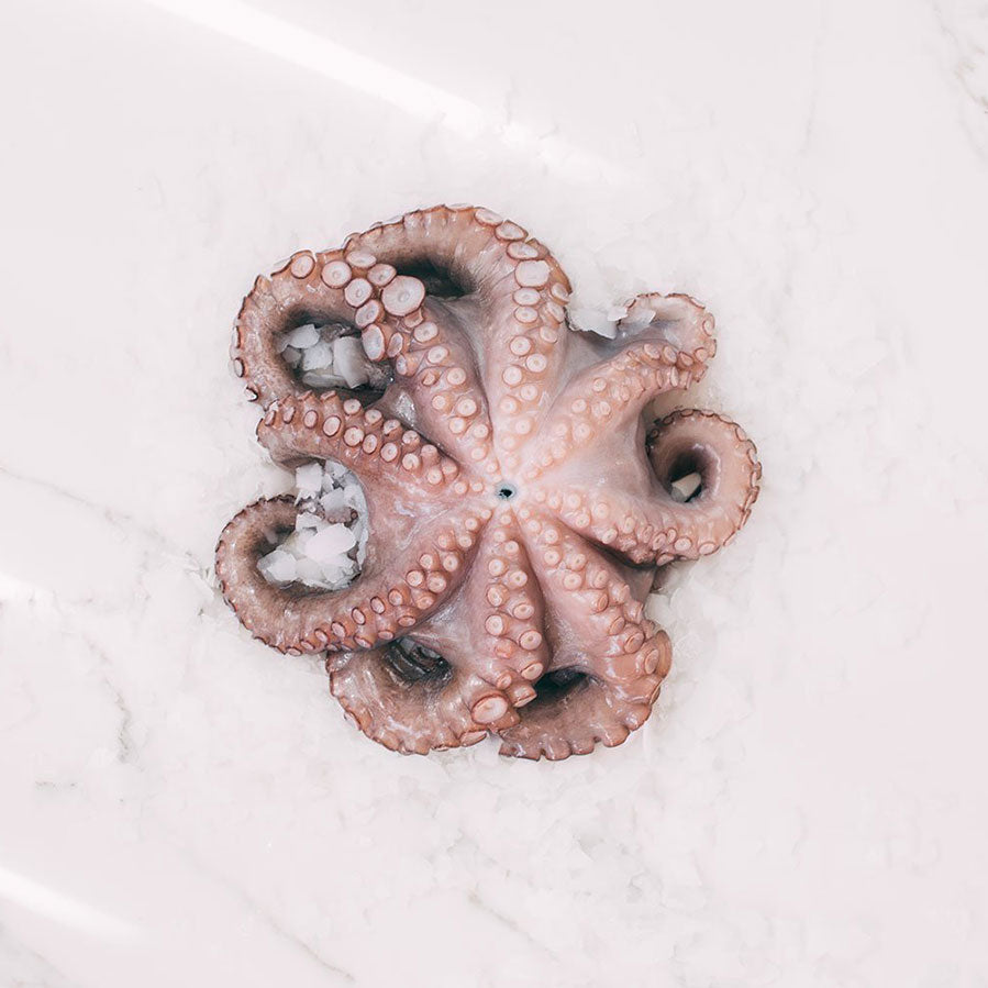 PULPO TIEFGEKÜHLT
